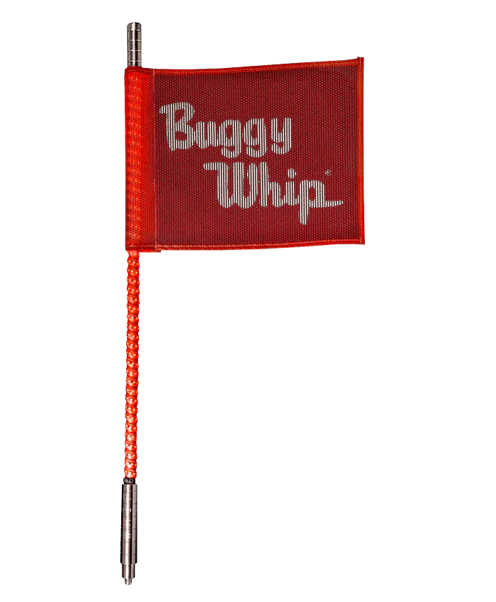 Led buggy whip shop